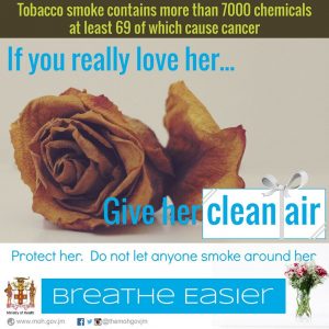 Give Clean Air -Valentine - 20160212